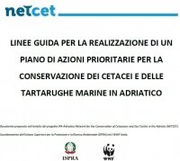 Consultazione Pubblica On-Line : LINEE GUIDA PER LA REALIZZAZIONE DI UN PIANO DI AZIONE PER LA TUTELA DEI CETACEI E DELLE TARTARUGHE MARINE IN ADRIATICO