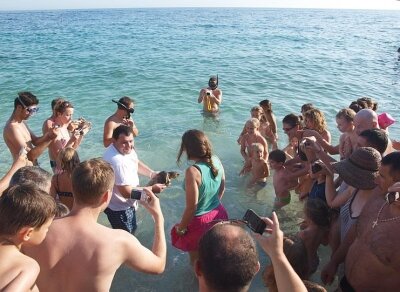 The release of the Sea Turtle "Sansego"- Losinj rescue centre
