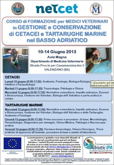 The Course "Management/conservation of Cetaceans and ST in the Southern Adriatic Sea"